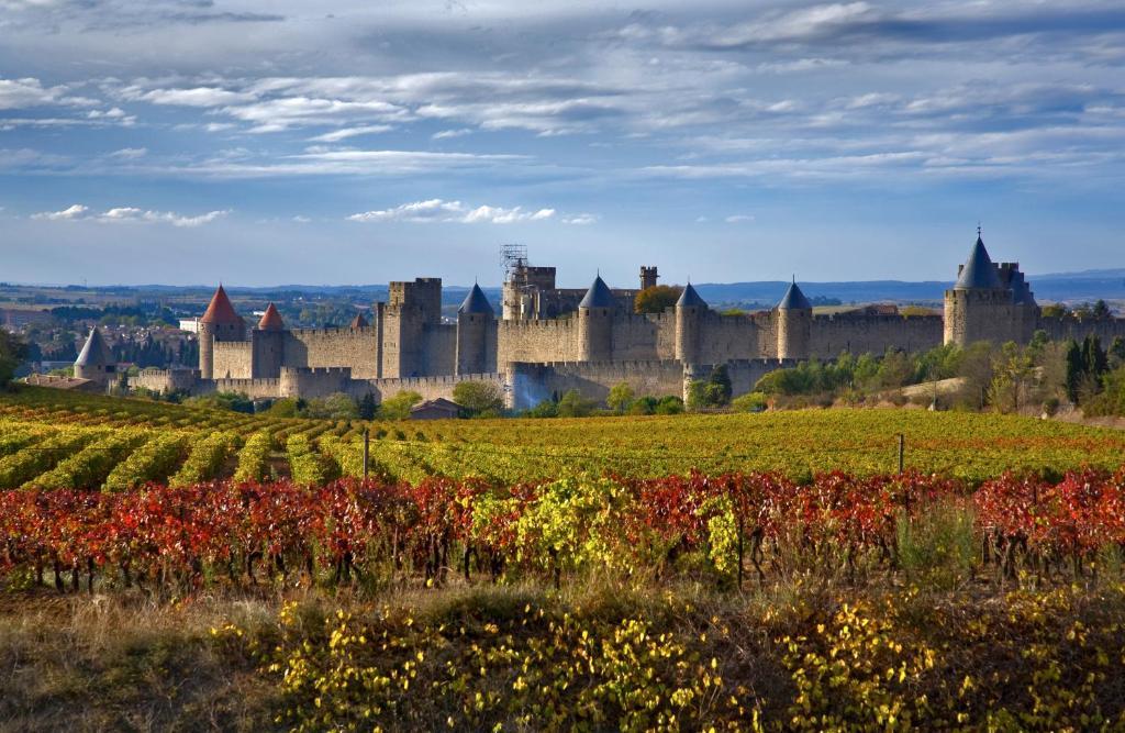 Bed & Breakfast Demeure Du Pareur Villeneuve-Minervois Luaran gambar